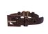 D&G Choker Necklace, back view