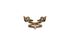 Fendi Monster Ring, front view