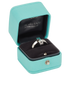 Tiffany T T1 Ring, other view