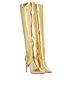 Jimmy Choo Hurley 100 Boots, side view