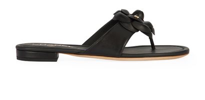 Chanel Camellia Thong Sandals, front view