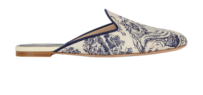 Christian Dior Toile De Jouy Mules, front view