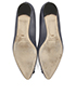 Manolo Blahnik Hangisi 10 Flats, top view