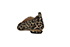 Nicholas Kirkwood leopard print flats, back view