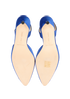 Manolo Blahnik Hangisi Slingback, top view