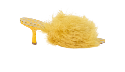 Burberry Minnie Heels, front view