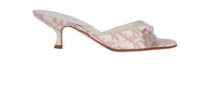 Christian Dior Vintage Oblique Mules, front view