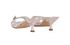 Christian Dior Vintage Oblique Mules, back view