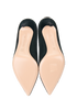 Gianvito Rossi Pointed Pony Hair Pumps, top view
