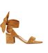 Gianvito Rossi Ankle Tie Suede Sandals, front view
