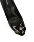 Louis Vuitton Fiancee Pumps, other view