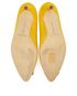 Manolo Blahnik Hangisi 80 Heels, top view