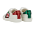 Gucci GG Apple Trainers, back view