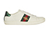 Gucci Ace Trainers, front view