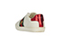 Gucci Ace Trainers, back view