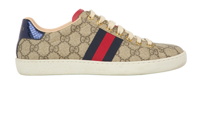 Gucci GG Web Ace Trainers, front view
