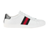Gucci Ace Trainers, front view