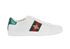 Gucci Ace Trainers, front view